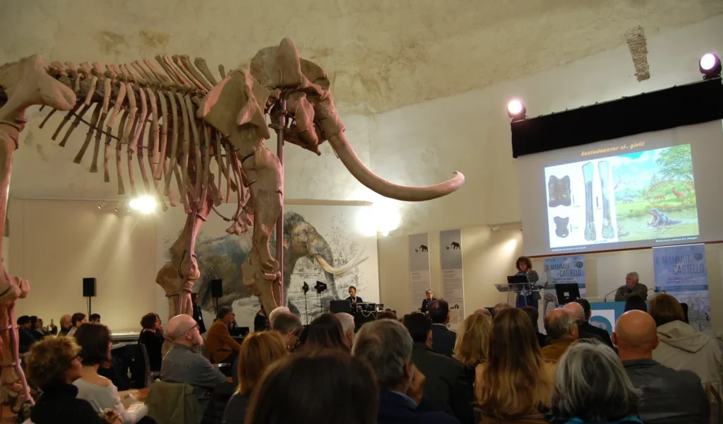 immagine per Incontro al MuNDA con il pubblico e cenni storici sul Mammut