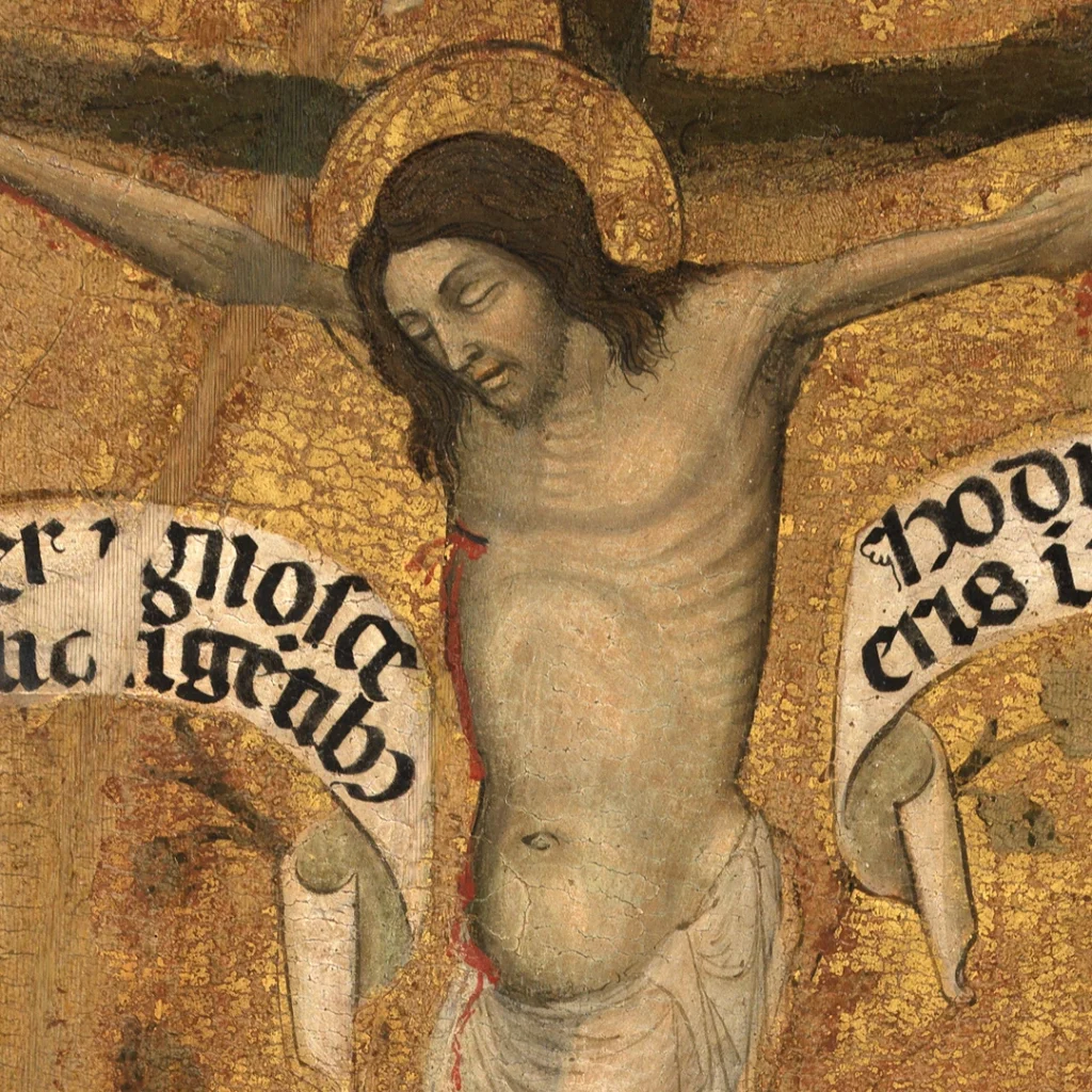 immagine per L’albero della croce