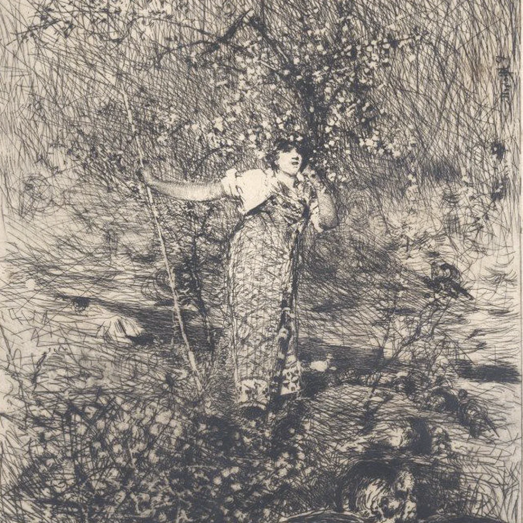 immagine per Pastorella