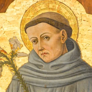 immagine per Sant’Antonio da Padova e san Bonaventura da Bagnoregio