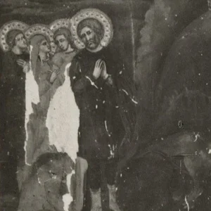 immagine per Eustachio e la sua famiglia non vengono attaccati dai leoni nel circo