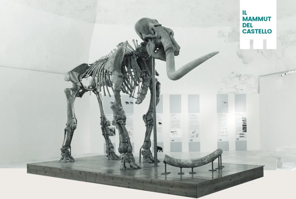 immagine per Il Mammut del Castello