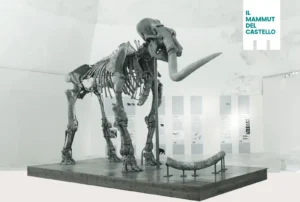 Immagine per Il-Mammut-del-Castello