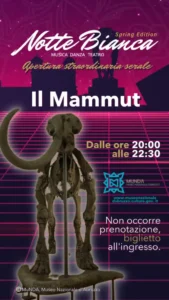 Immagine per locandina notte bianca 2022