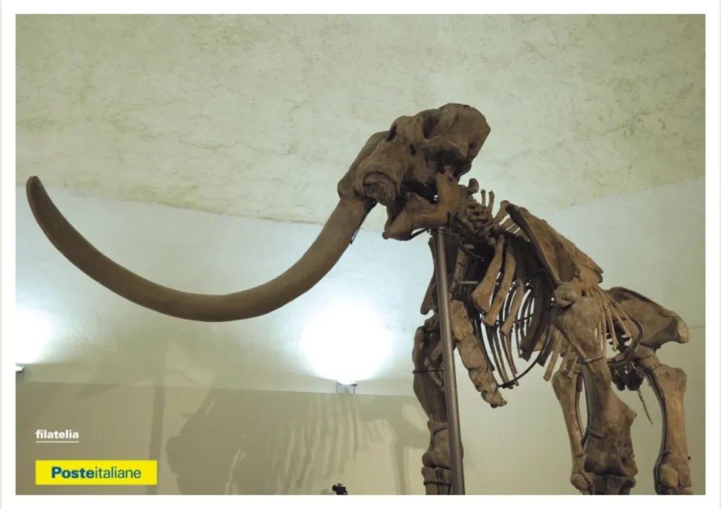 immagine per Annullo postale speciale per il 70° anniversario dal ritrovamento del Mammut