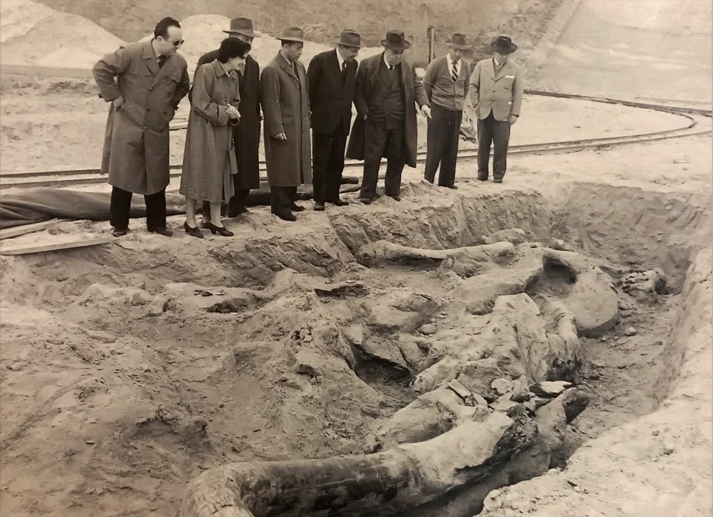 immagine epr Terre Sonanti – Il Mammut. Giornata dedicata ai 70 anni dal ritrovamento del Mammut