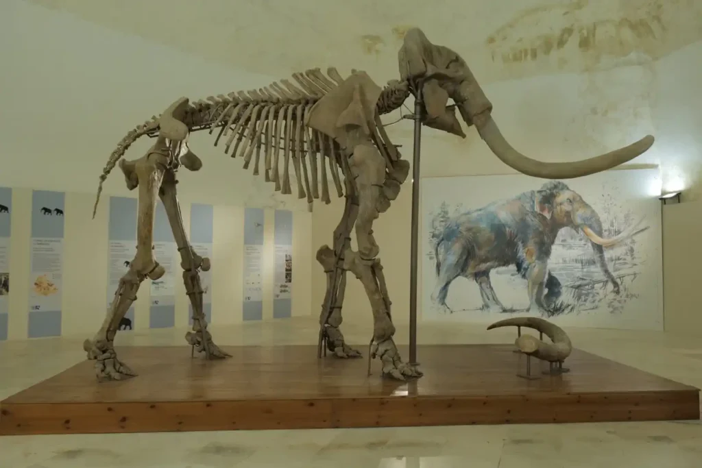 Immagine per 25 e 26 gennaio- chiusura del Mammut