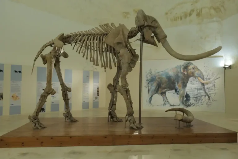 Immagine per 25 e 26 gennaio- chiusura del Mammut