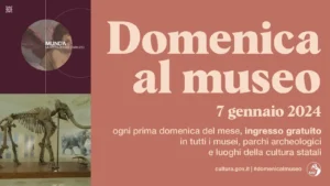 Immagine per 7-gennaio-2024