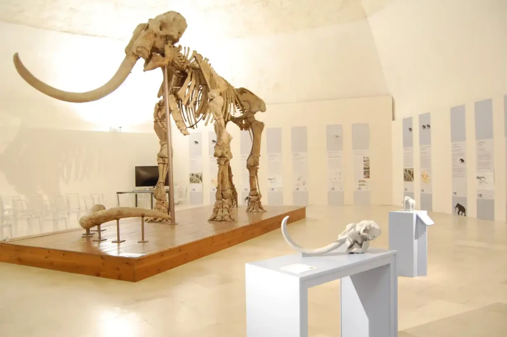 Immagine per Aperture del Mammut nel mese di Dicembre