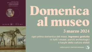 Immagine per #Domenica al museo 3-marzo