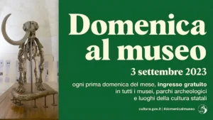 Immagine per Domenica al museo 3 settembre 2023