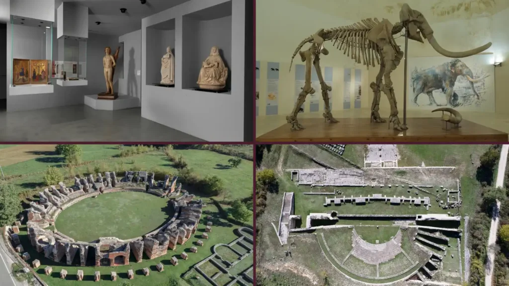 Immagine per #Domenica al museo 6-luglio