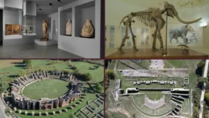 Immagine per #Domenica al museo 6-luglio