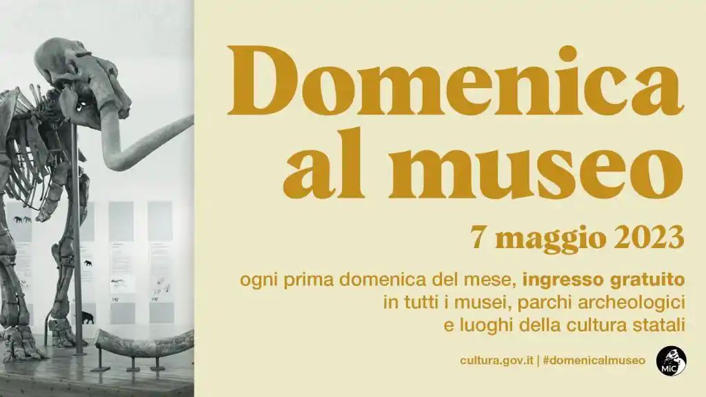 Immagine per Domenicalmuseo_7mag23