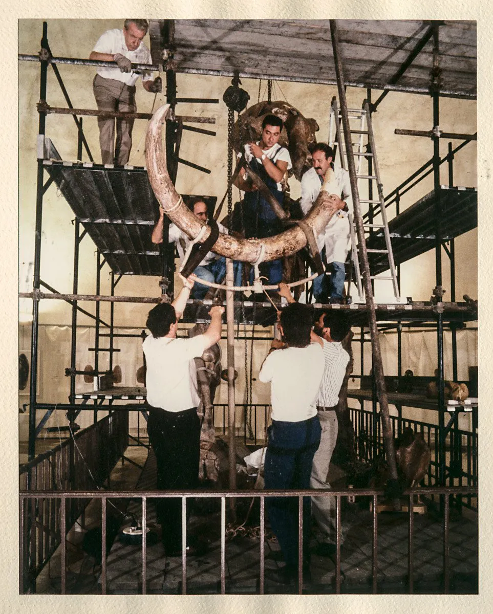 immagine per Restauro 1987
