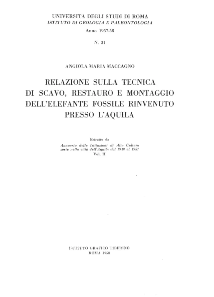 immagine per Relazione tecnica