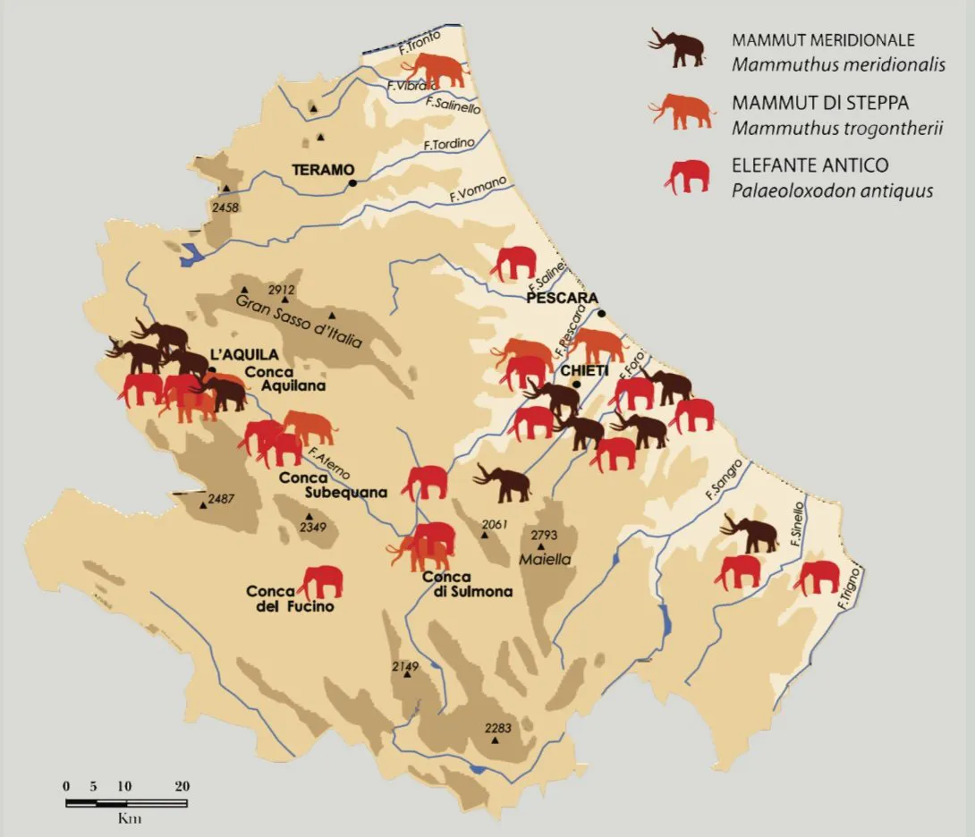 immagine dell'Illustrazione tratta dal volume Il Mammut, a cura di Maria Adelaide Rossi, Carsa Edizioni, Pescara 2022