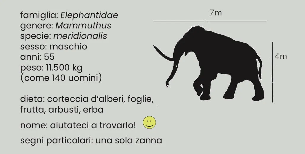 immagine per Progetto grafico di Francesca Condò – Direzione generale Musei