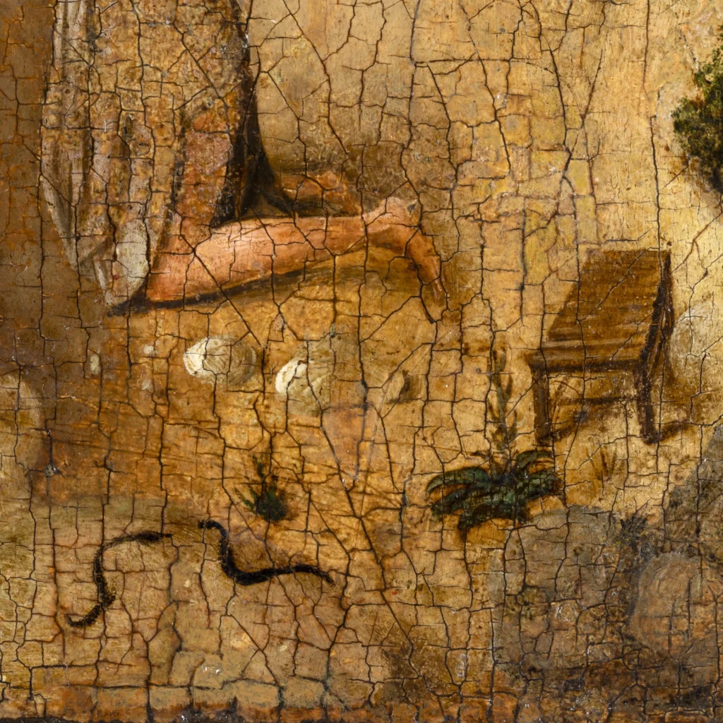 immagine per San Girolamo penitente (verso), dettaglio
