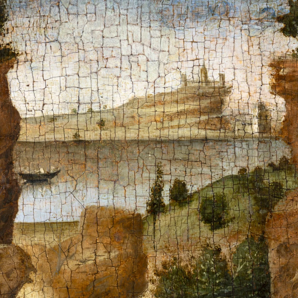 immagine per San Girolamo penitente (verso), dettaglio