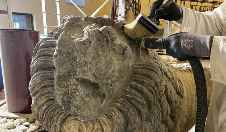 immagine per Giornate Europee dell’Archeologia
